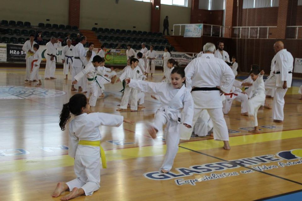 Crianças de karategi e cintos de várias cores a treinar num pavilhão, durante um estágio com o Sensei José Lezon em Ponte de Sor. Ao fundo, instrutores de cinto negro acompanham o treino.